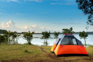 Les emplacements de camping disponibles près du Puy du Fou, pour un séjour au cœur de la nature vendéenne